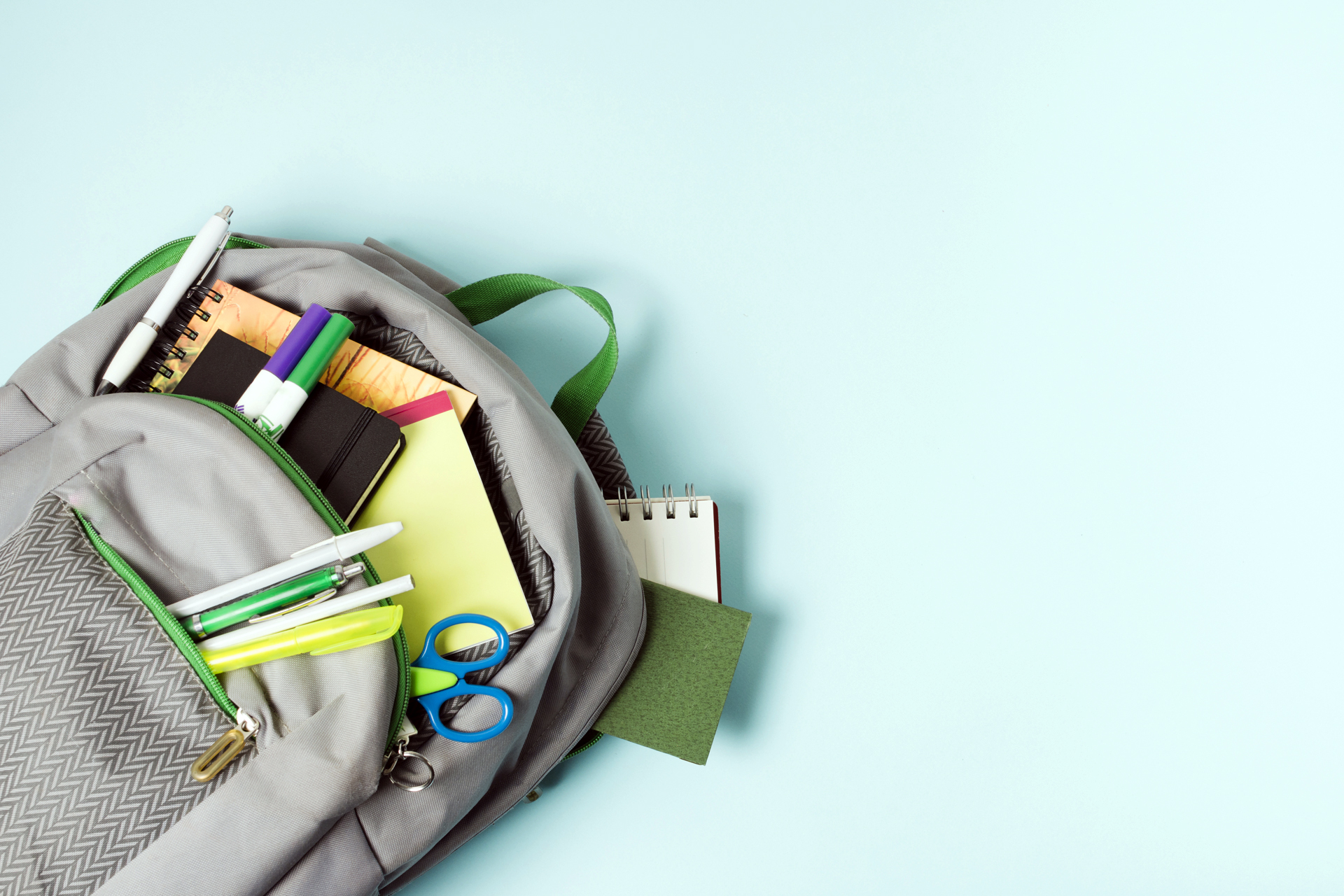 Divulgada lista de escolas participantes das eleições para o Programa Vereador Mirim 2020