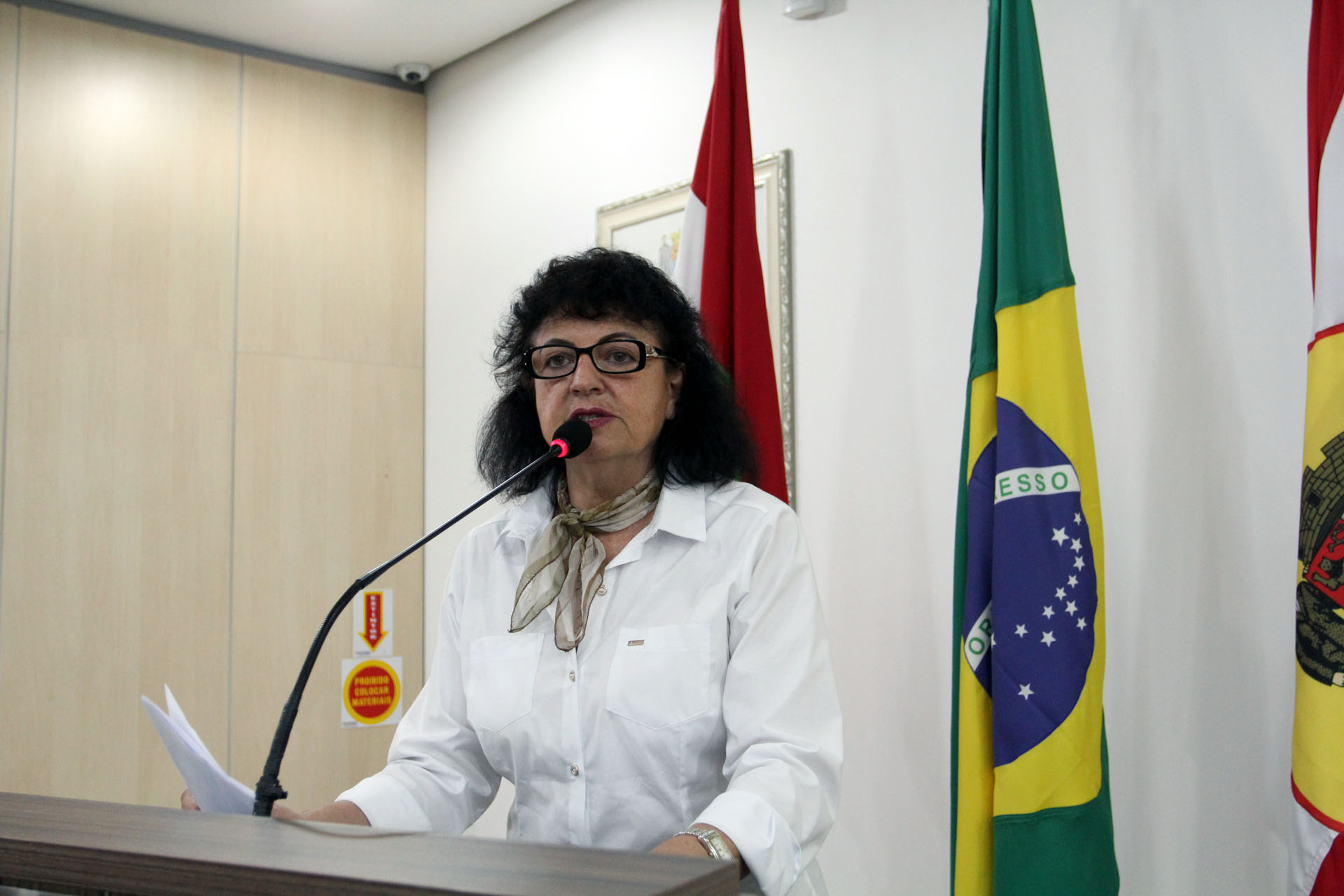 Ações e parcerias do Setembro Branco são relatadas na tribuna livre