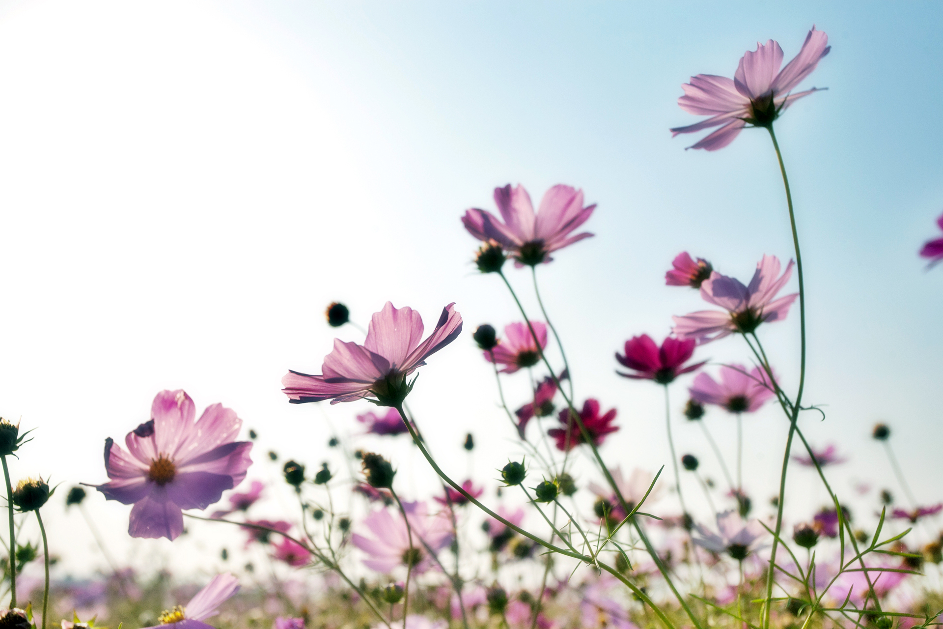 Câmara vai conceder título de Cidadão Blumenauense a quatro personalidades