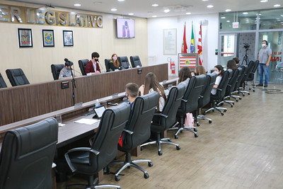 Vereadores Mirins realizam 10ª reunião ordinária e aprovam requerimento
