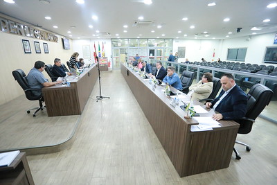 Câmara de Blumenau aprova Declaração Municipal de Direitos de Liberdade Econômica