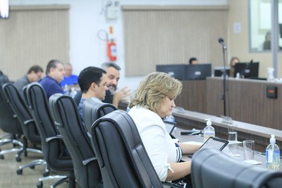 Câmara aprova quatro projetos de lei em redação final e acata veto parcial