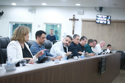 Resumo dos pronunciamentos dos vereadores 19/04