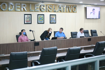 Vereadores aprovam um projeto de lei em redação final e acatam um veto total do Executivo