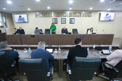 Resumo dos pronunciamentos dos vereadores 17/05