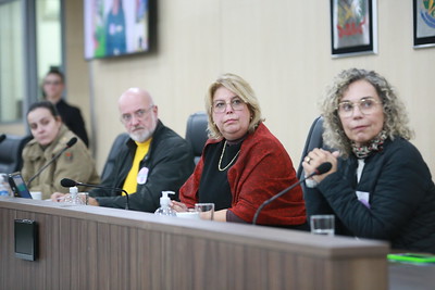 Audiência Pública denuncia falta de políticas públicas de proteção e de apoio às mulheres