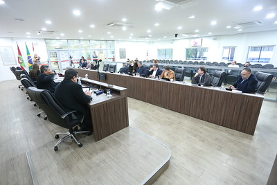 Vereadores aprovam quatro projetos de lei em redação final