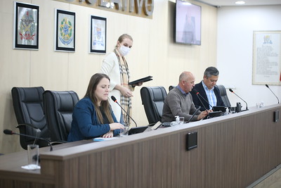 Três projetos de lei recebem pareceres favoráveis das comissões de Educação, Transportes e Turismo
