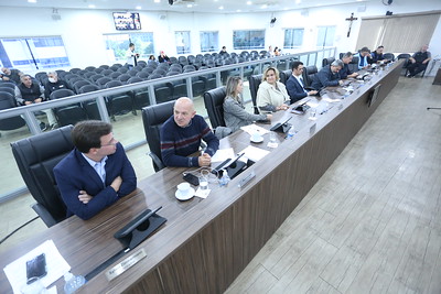 Resumo dos pronunciamentos dos vereadores 30/06
