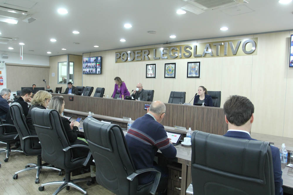 Câmara aprova projetos sobre acesso de cães-guia e autorização para viagem do prefeito à Europa