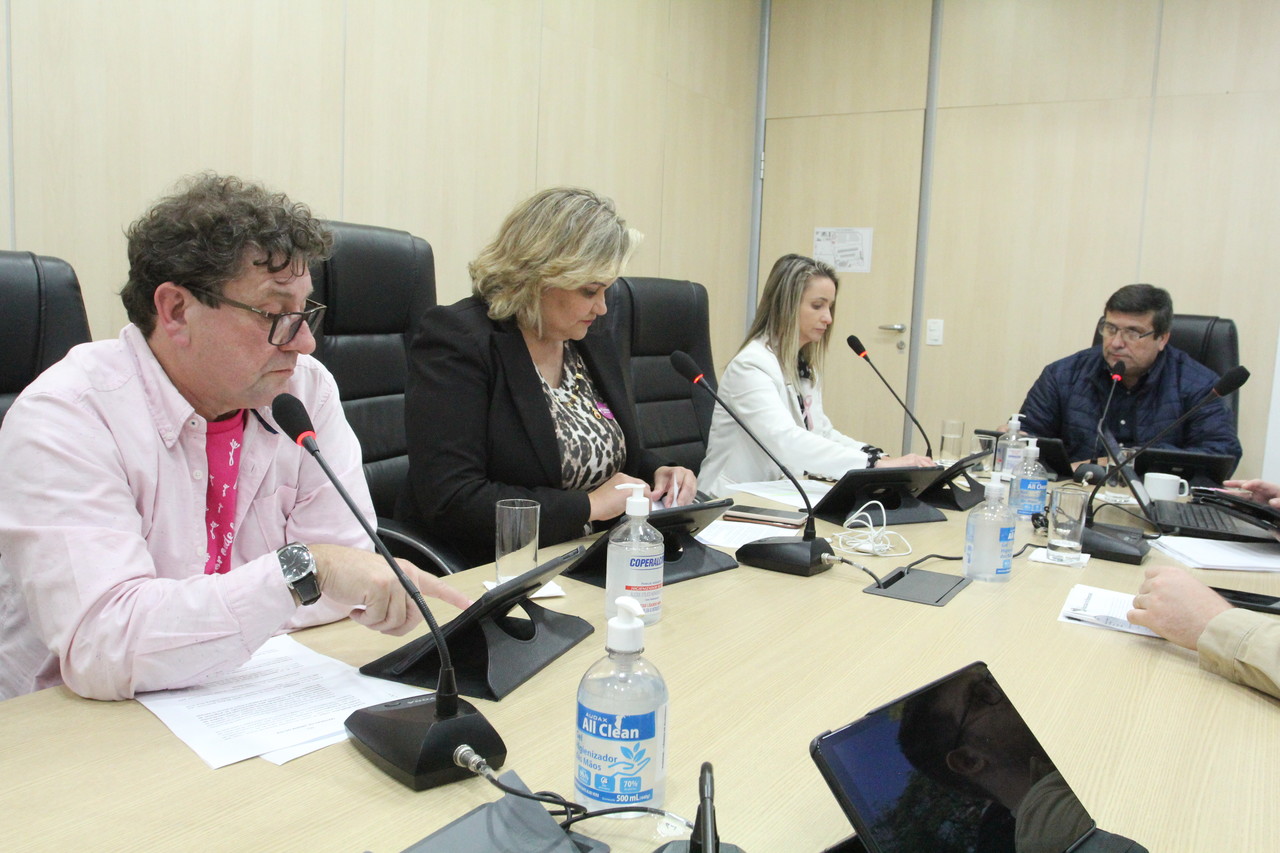Comissão de Finanças analisa projeto de lei, substitutivo global e emenda