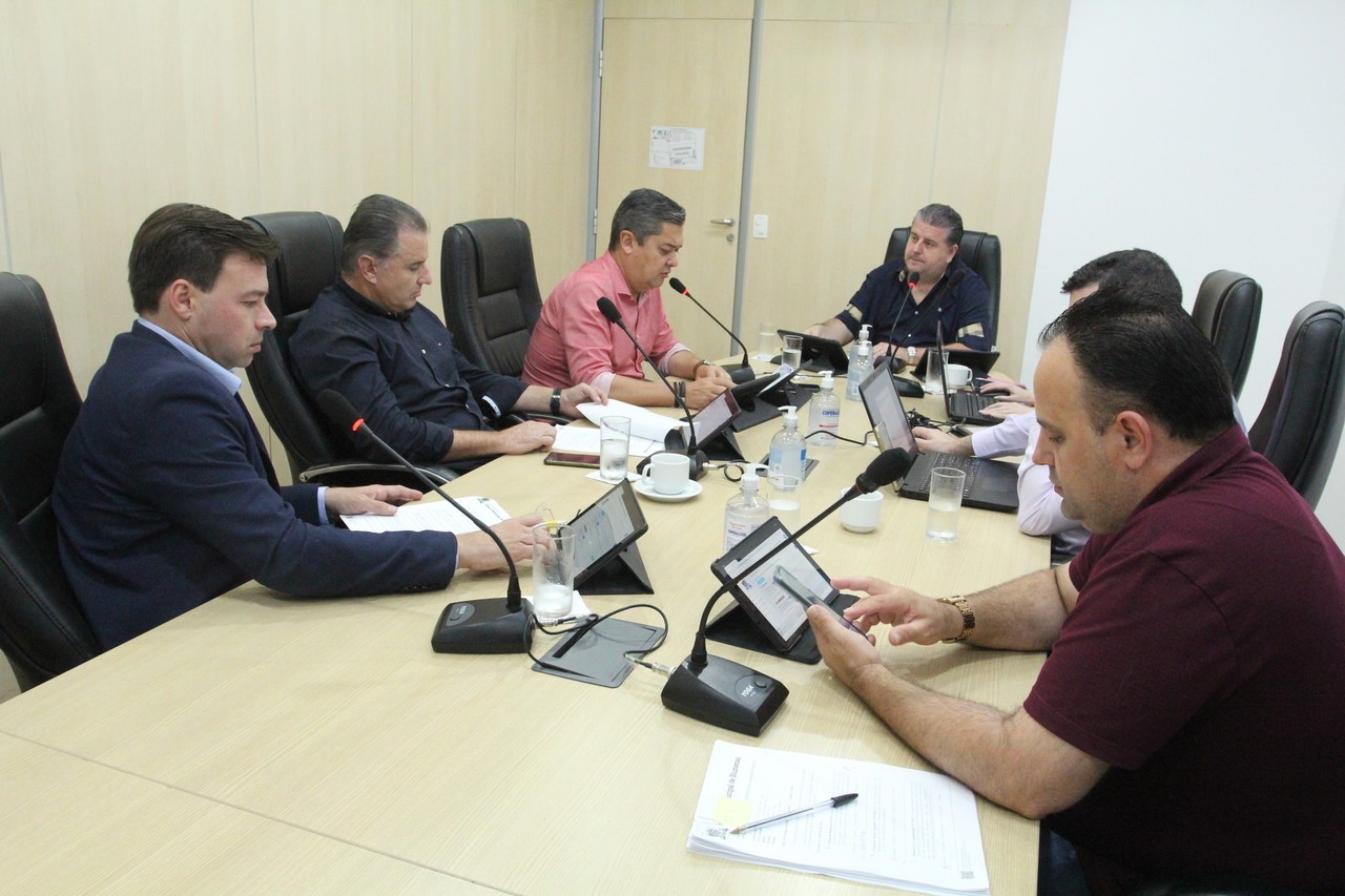 CCJ emite parecer favorável a cinco projetos, uma emenda supressiva e dois vetos