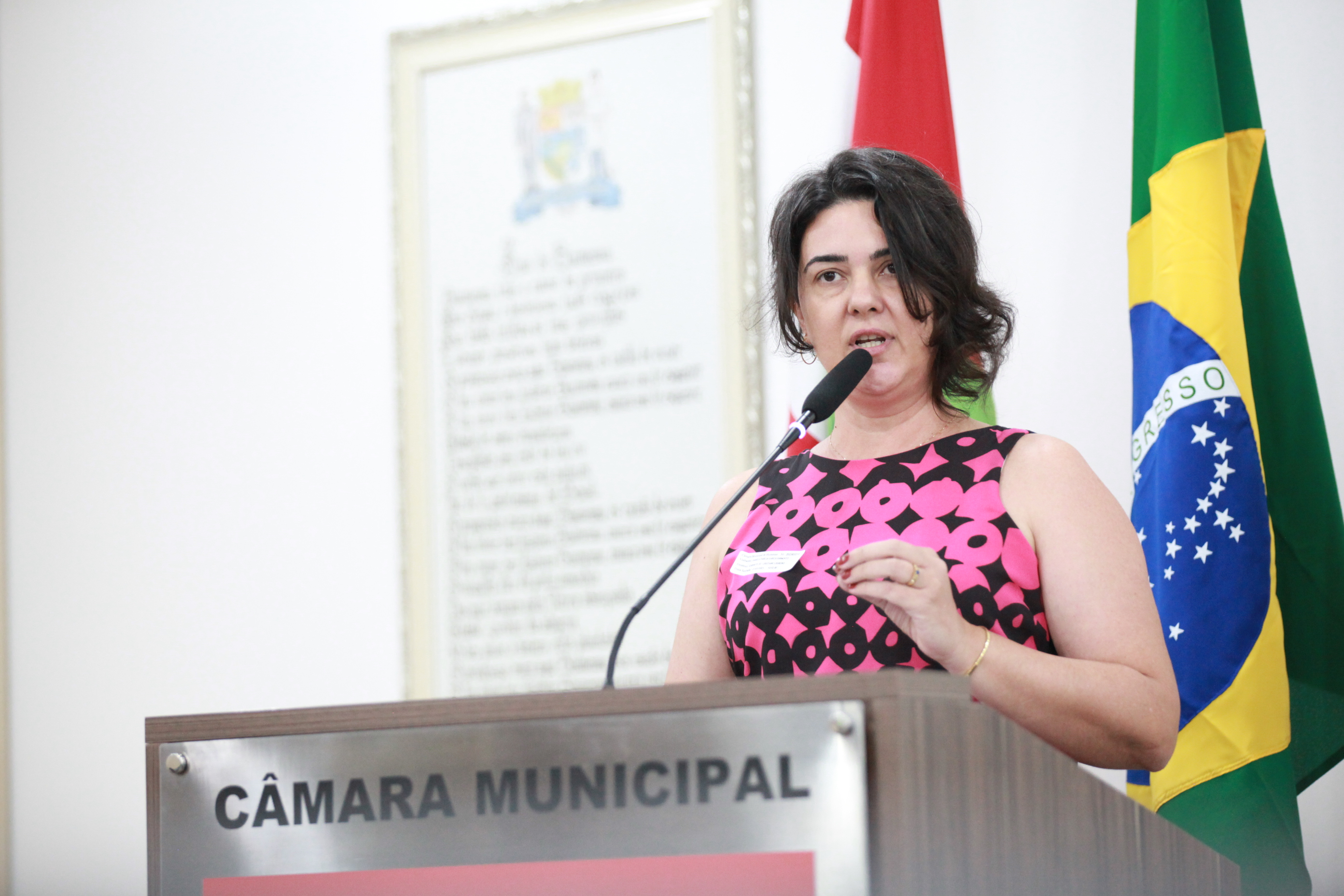 Direção Coletiva da União Brasileira das Mulheres apresenta manifesto na Tribuna Livre