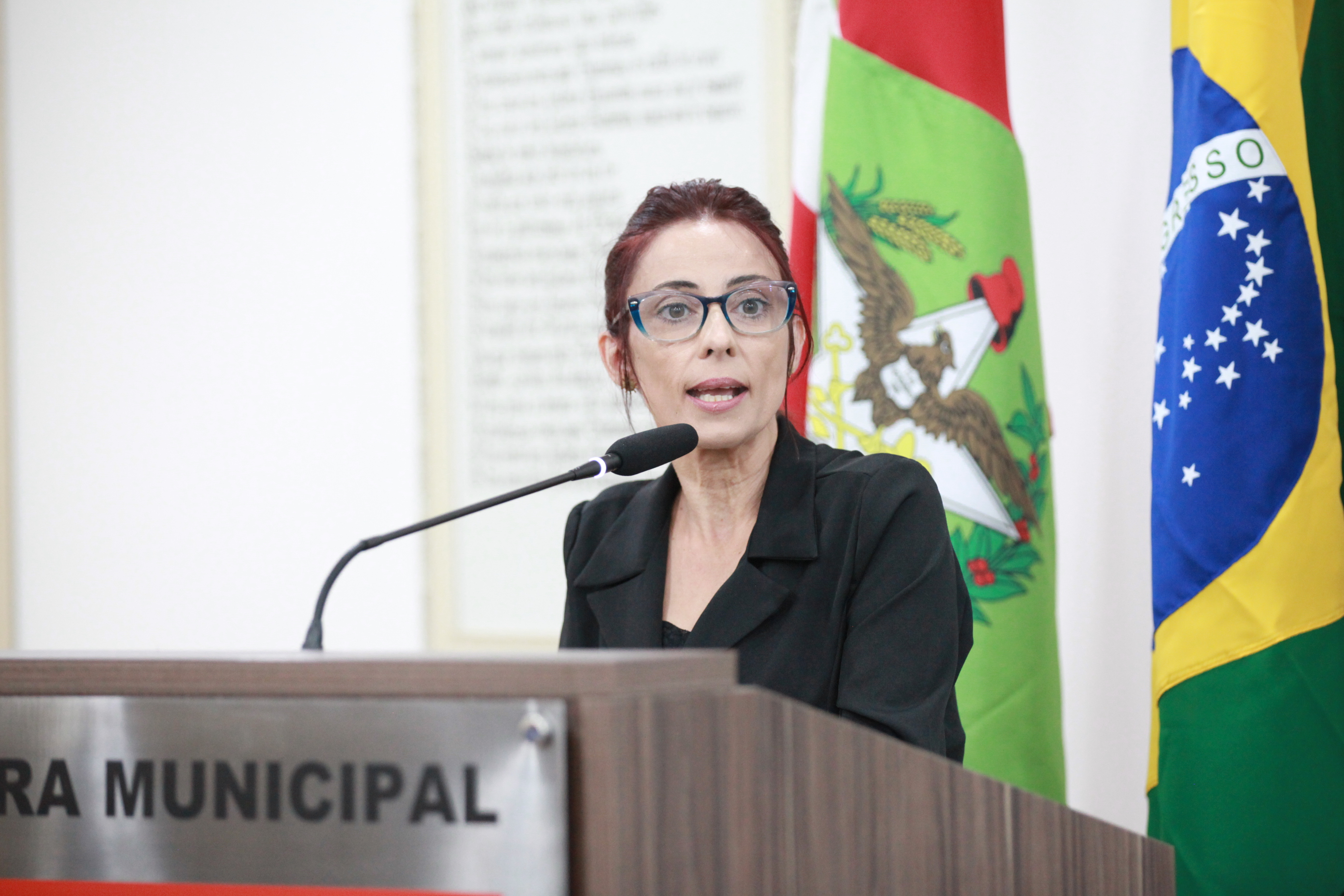 Representante do grupo Blumenau em Ação pede que vereadores e a comunidade se unam em prol da cidade
