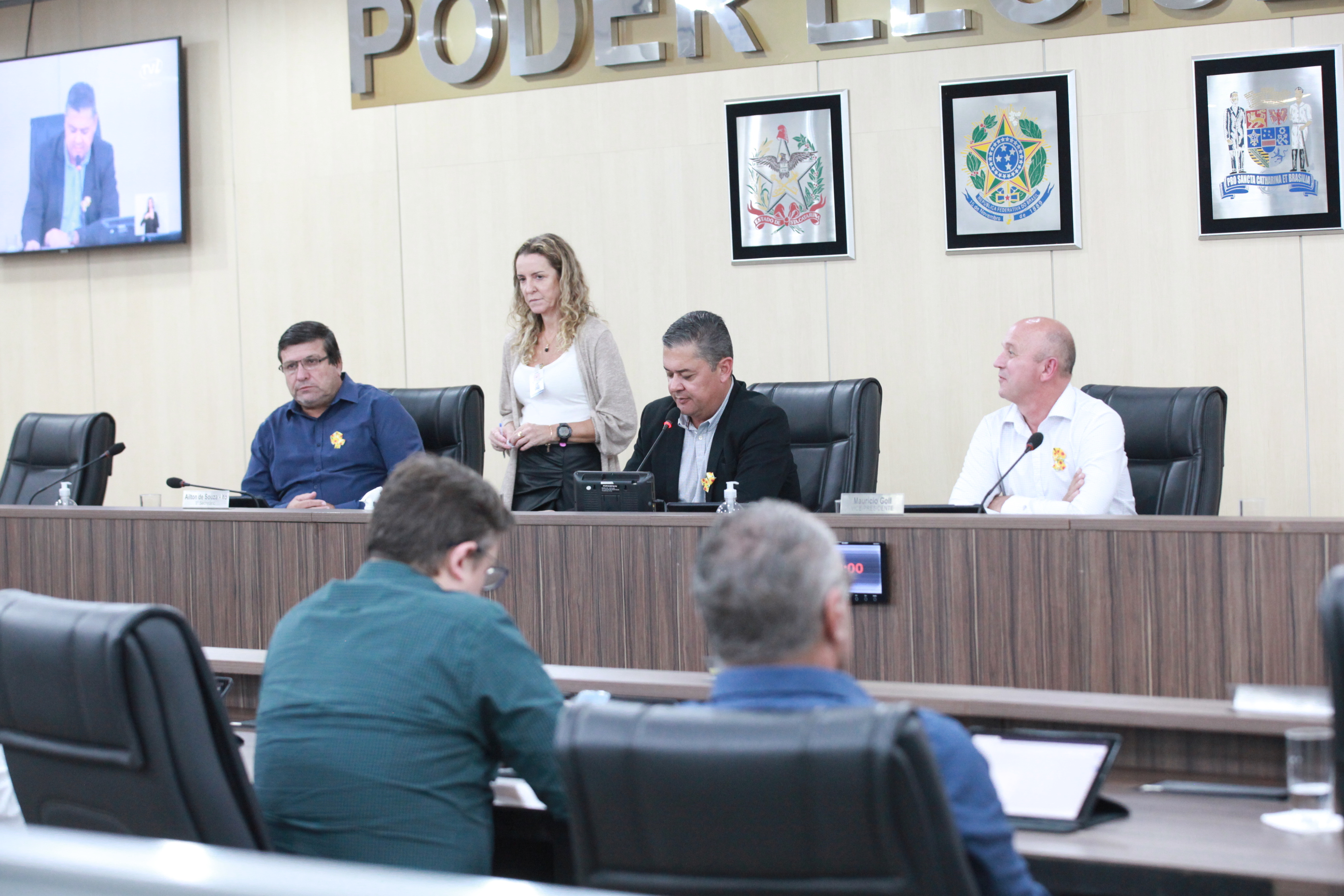 Câmara de Blumenau aprova projeto que prevê uso de cordão de girassol para identificar pessoa com deficiência oculta