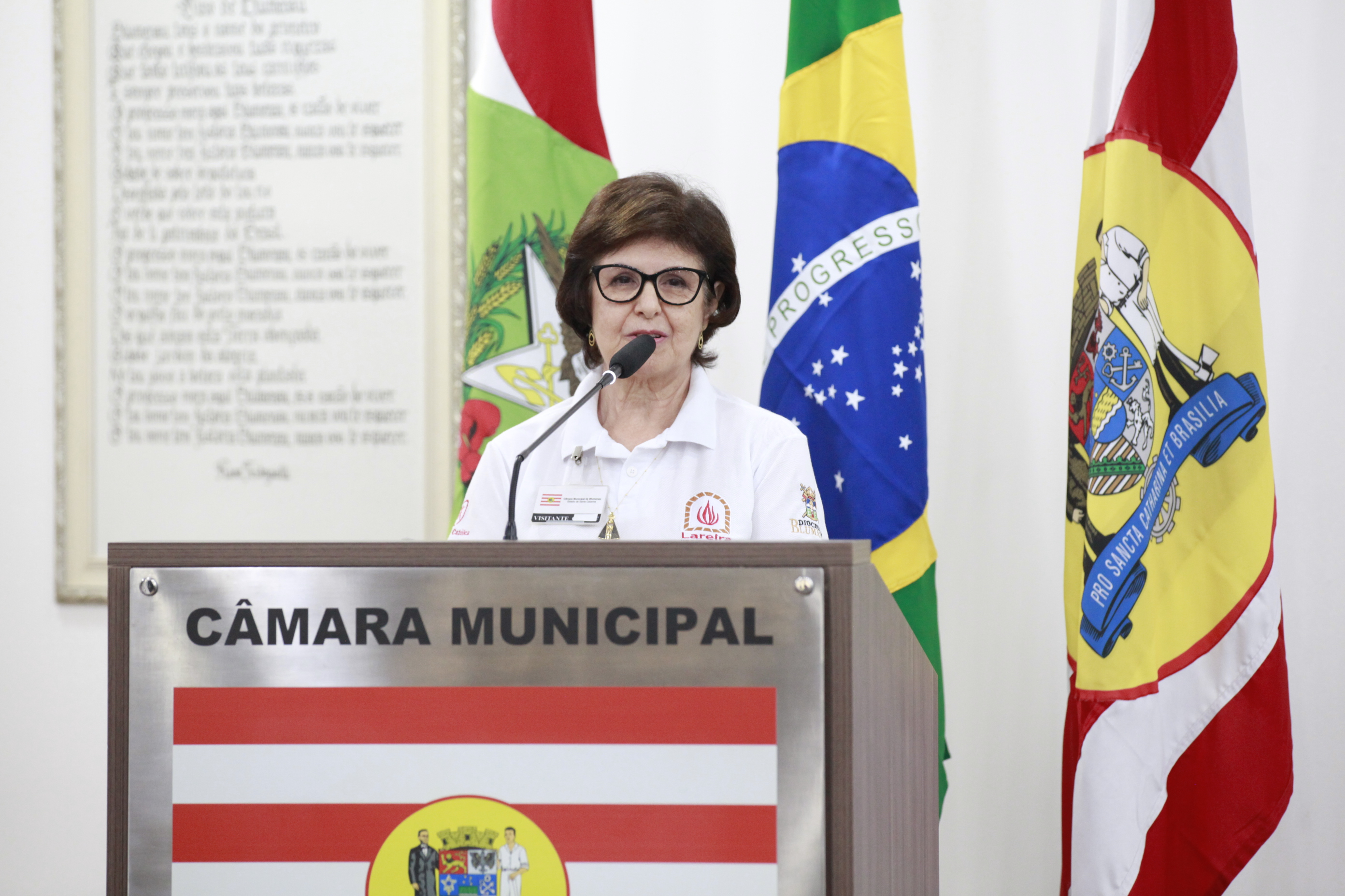 Coordenadora do Movimento Lareira apresenta trabalho em prol da família e destaca os 50 anos de atuação da fundação