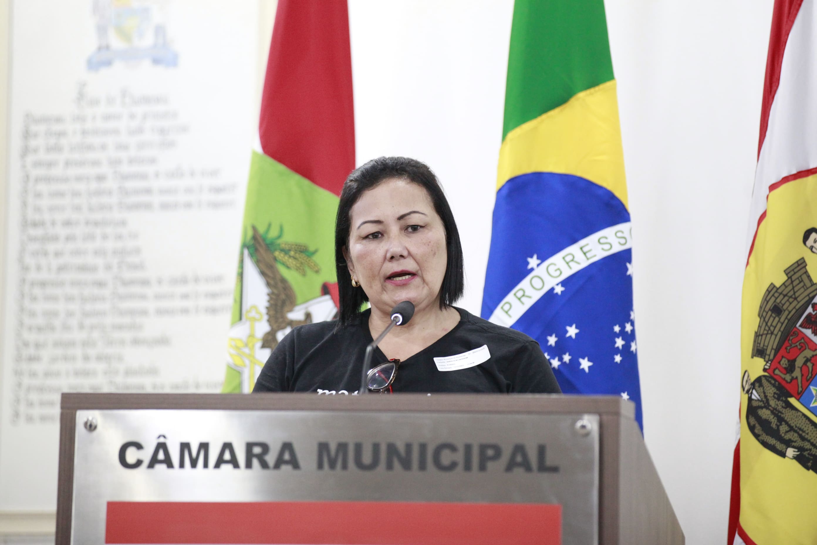 Acadêmica apresenta projeto e destaca importância da participação da sociedade no processo eleitoral