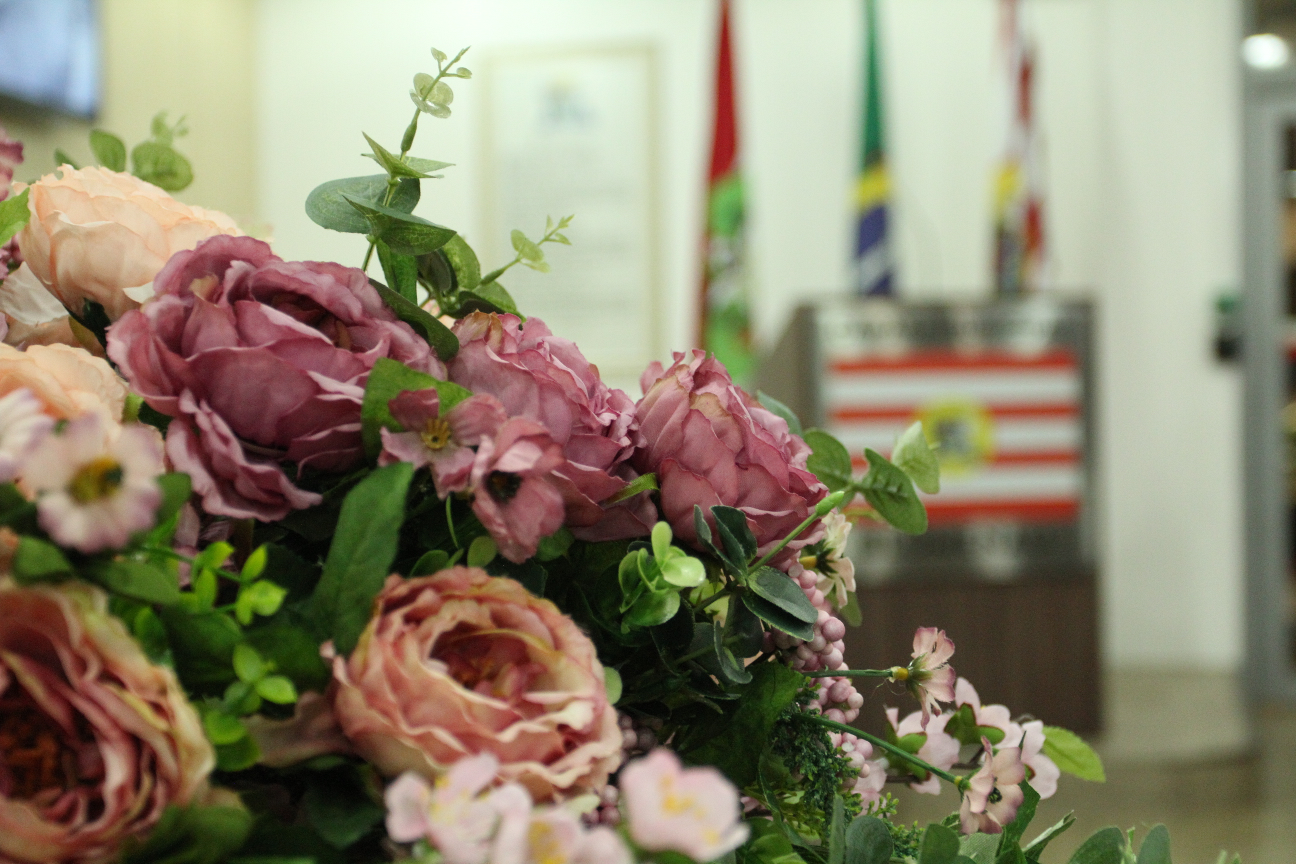 Legislativo blumenauense vai entregar Comendas Municipais do Mérito nesta terça-feira (26)