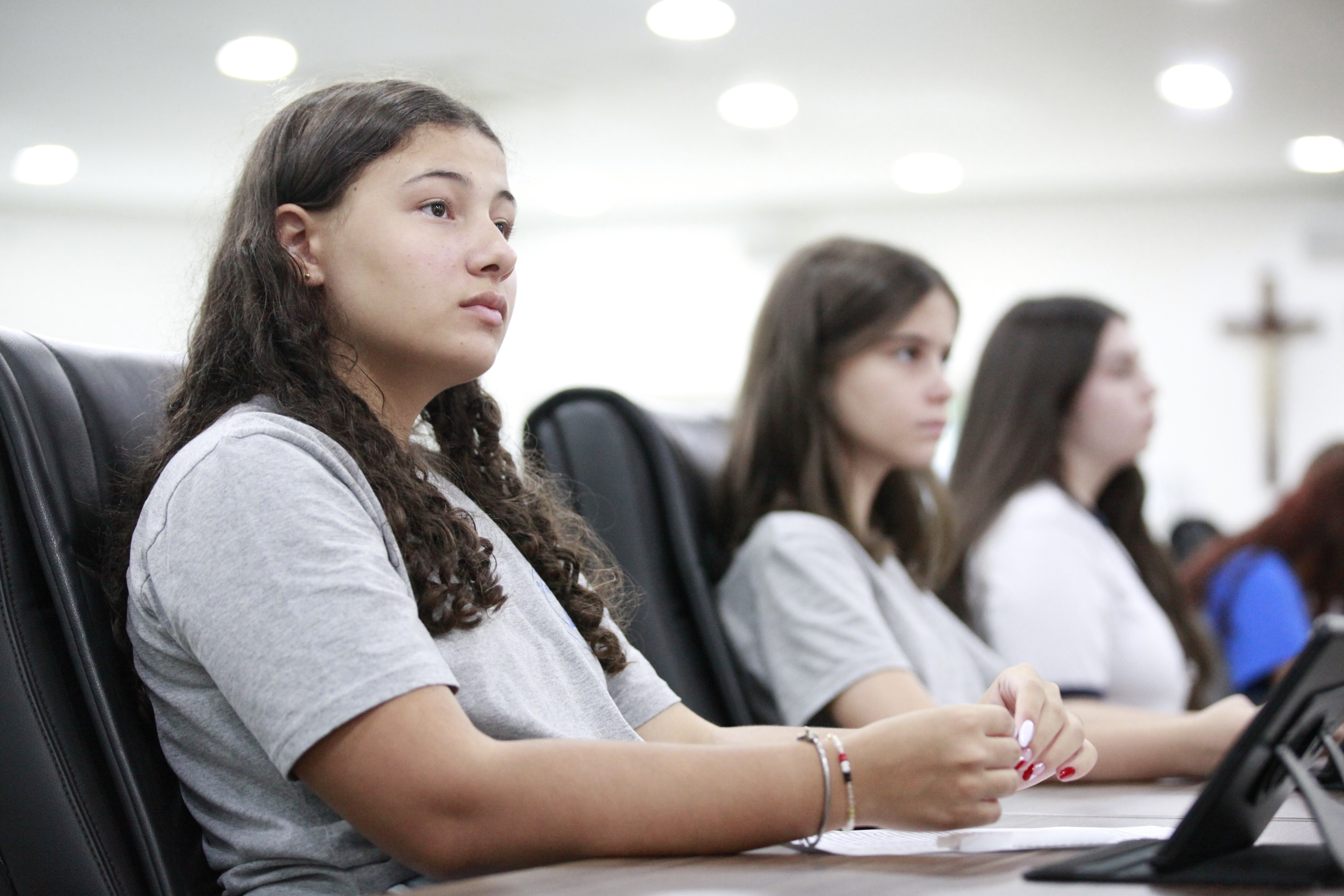 Vereadores Mirins aprovam quatro requerimentos na segunda sessão ordinária do ano