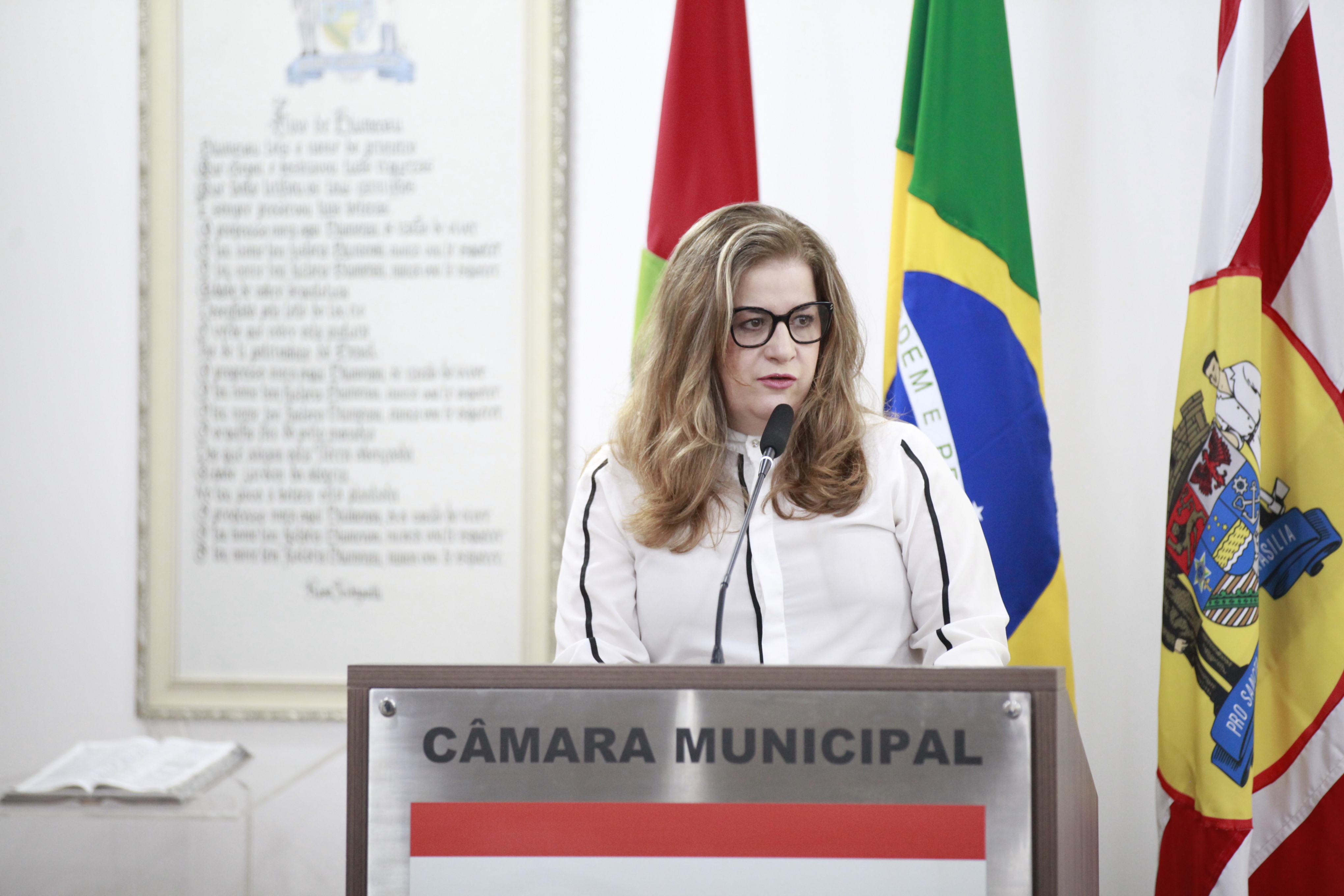 Reitora da Furb presta contas na tribuna sobre o Programa Universidade Gratuita   