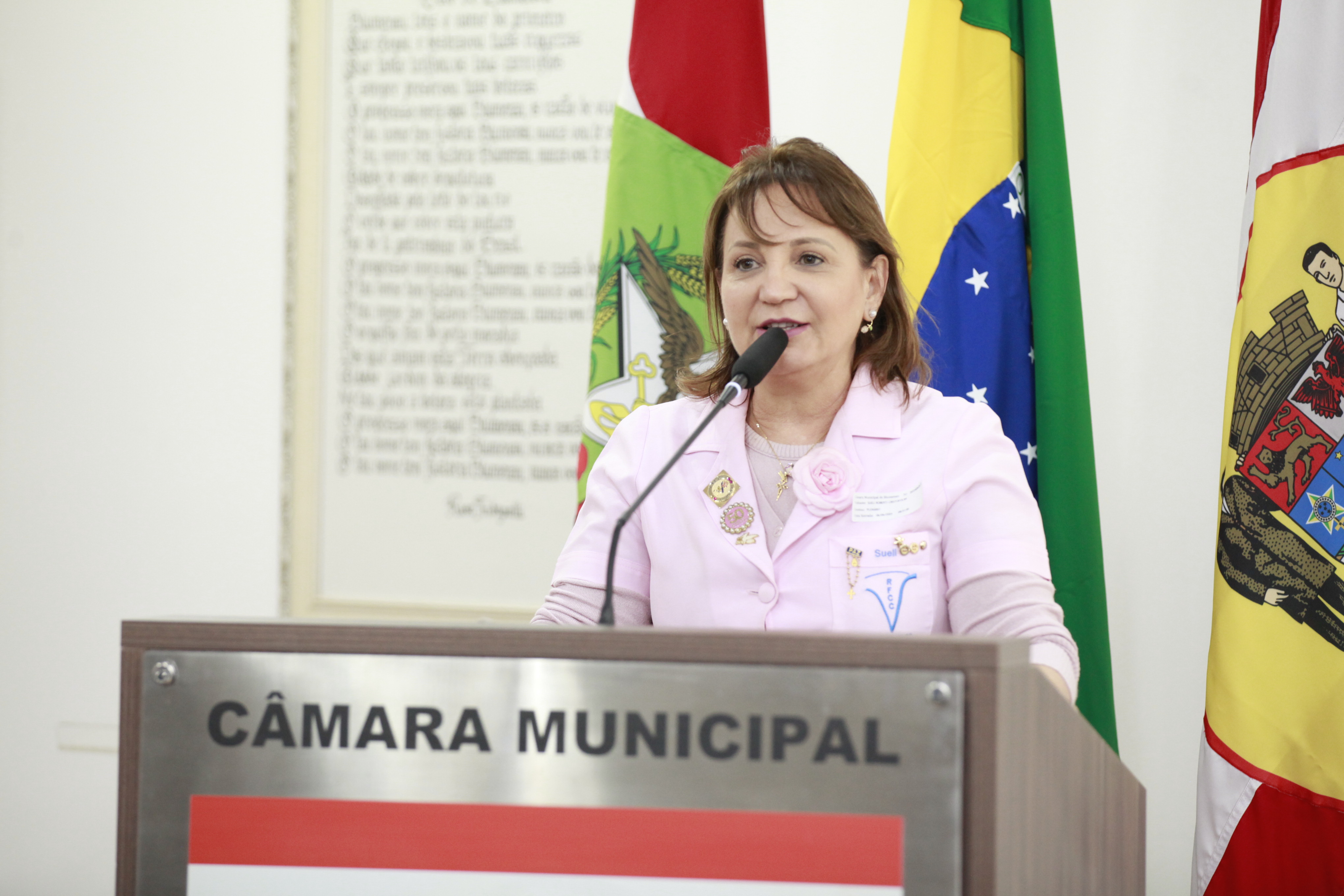 Presidente da Rede Feminina de Combate ao Câncer agradece vereadores pela aprovação da doação da nova sede da entidade