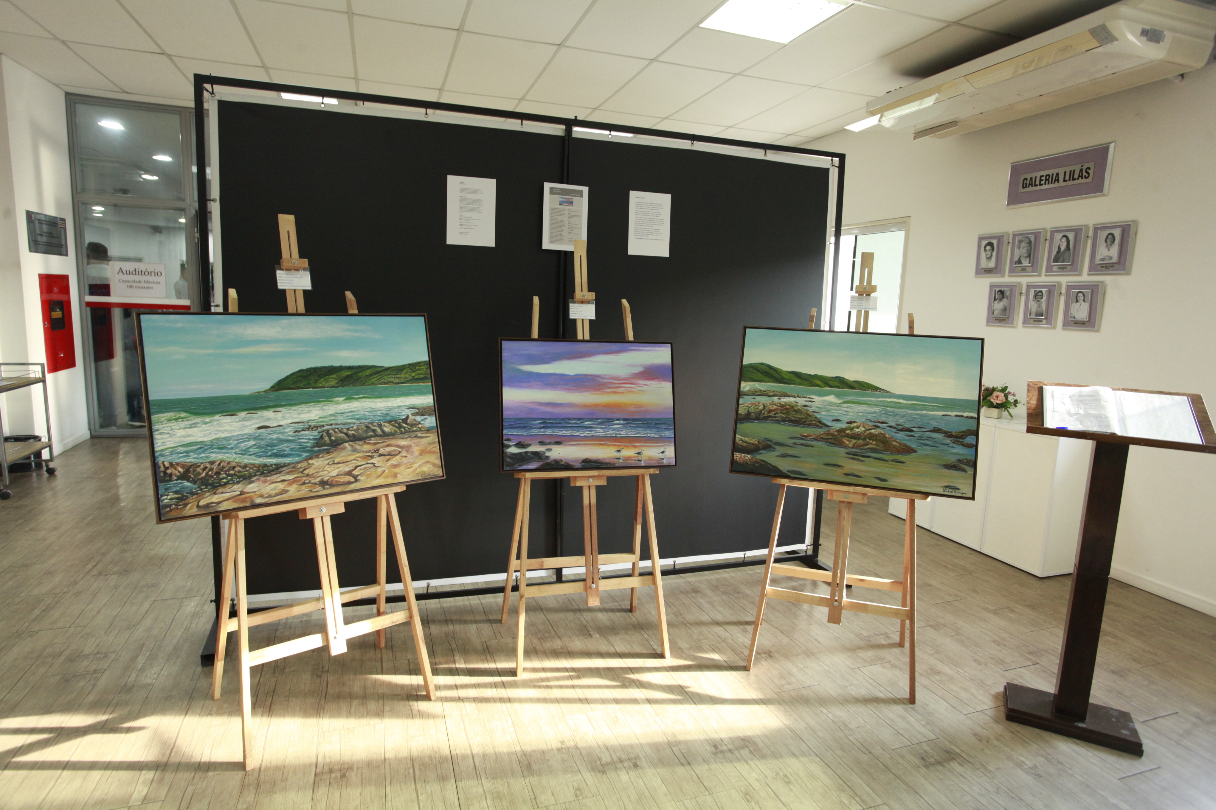 Câmara de Blumenau recebe exposição cultural Mares do Sul, de Vidal Burger