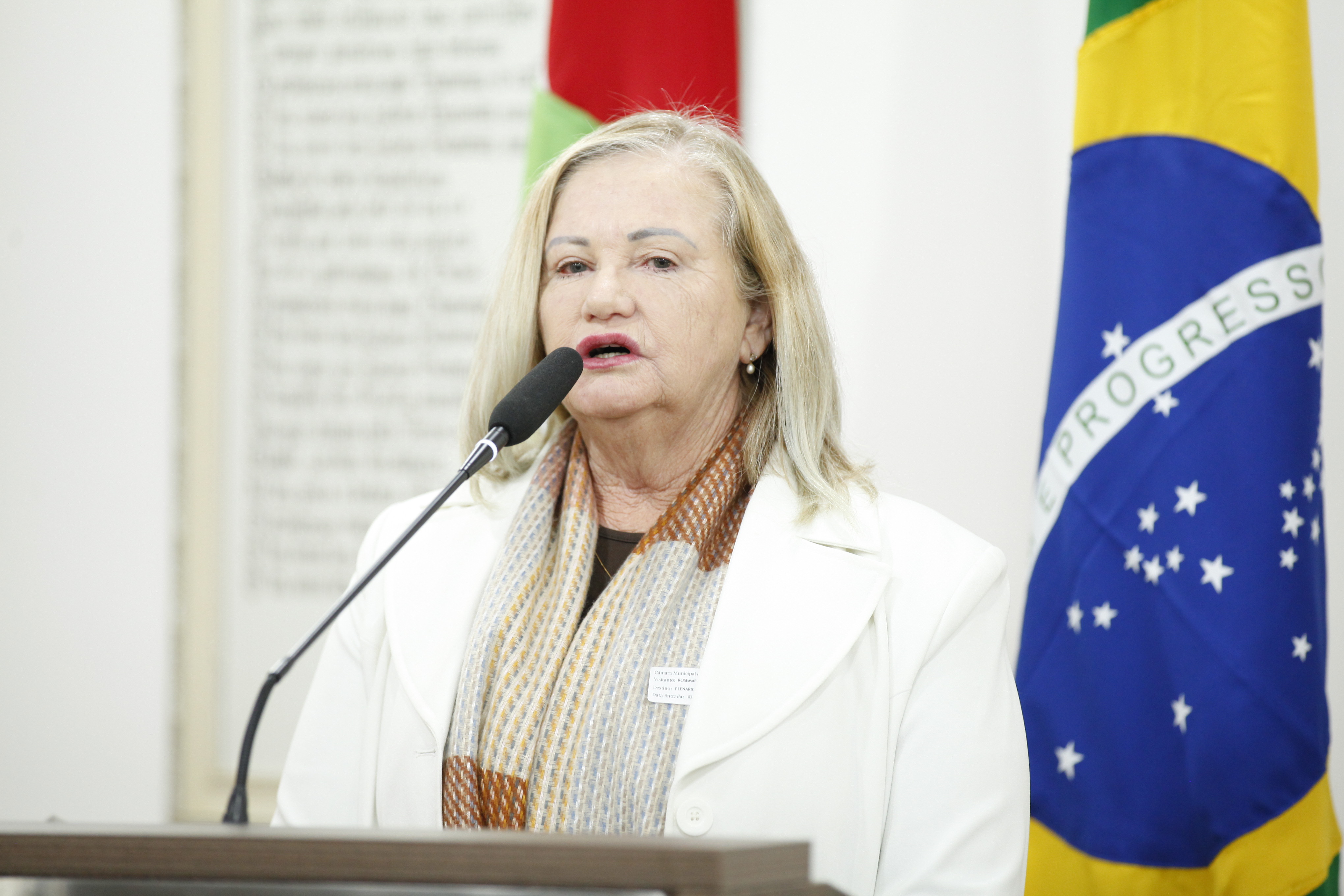 Secretária municipal do Meio Ambiente e Sustentabilidade apresenta trabalho da secretaria na tribuna 