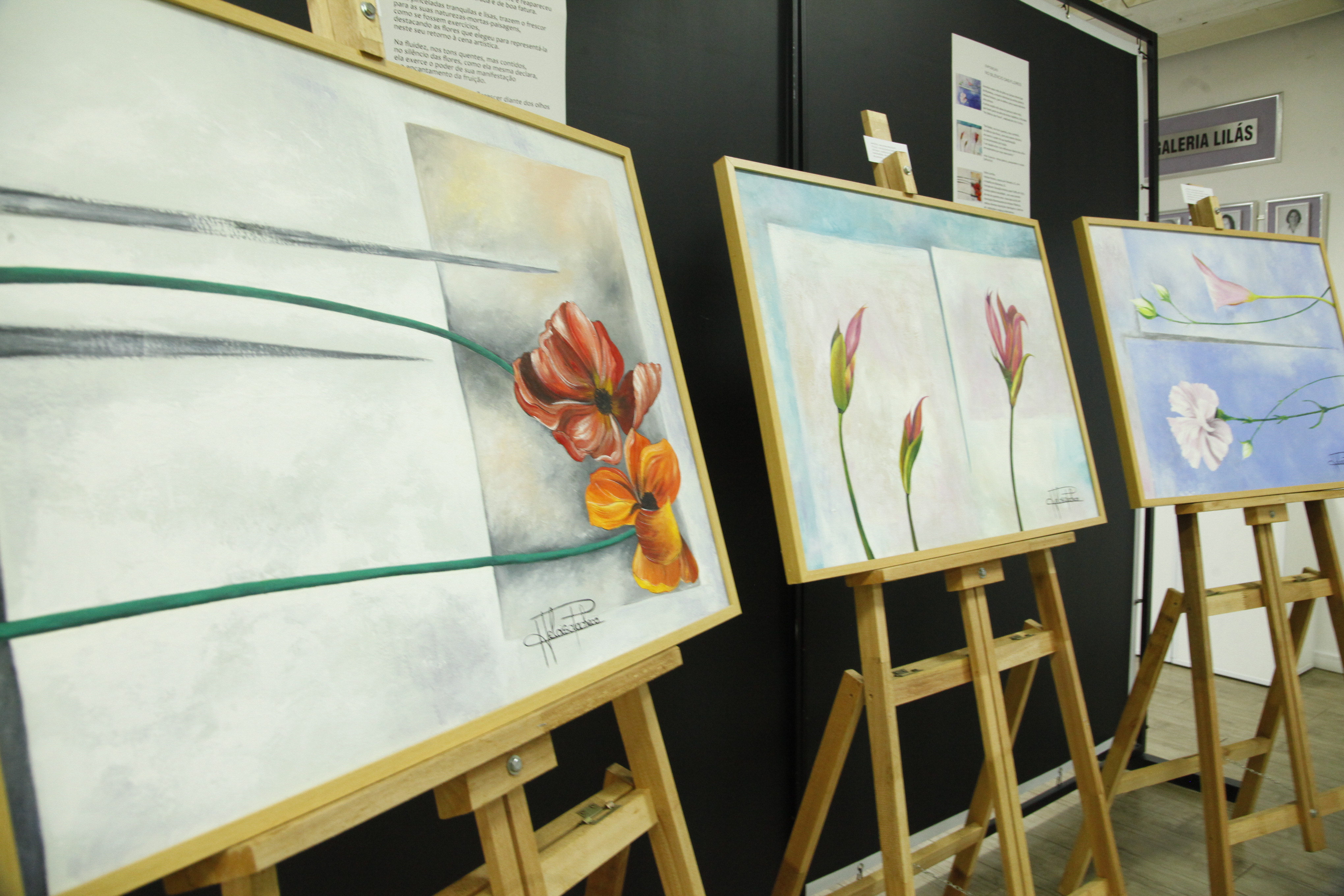 Exposição No Silêncio das Flores é a terceira exposição cultural do ano na Câmara de Blumenau