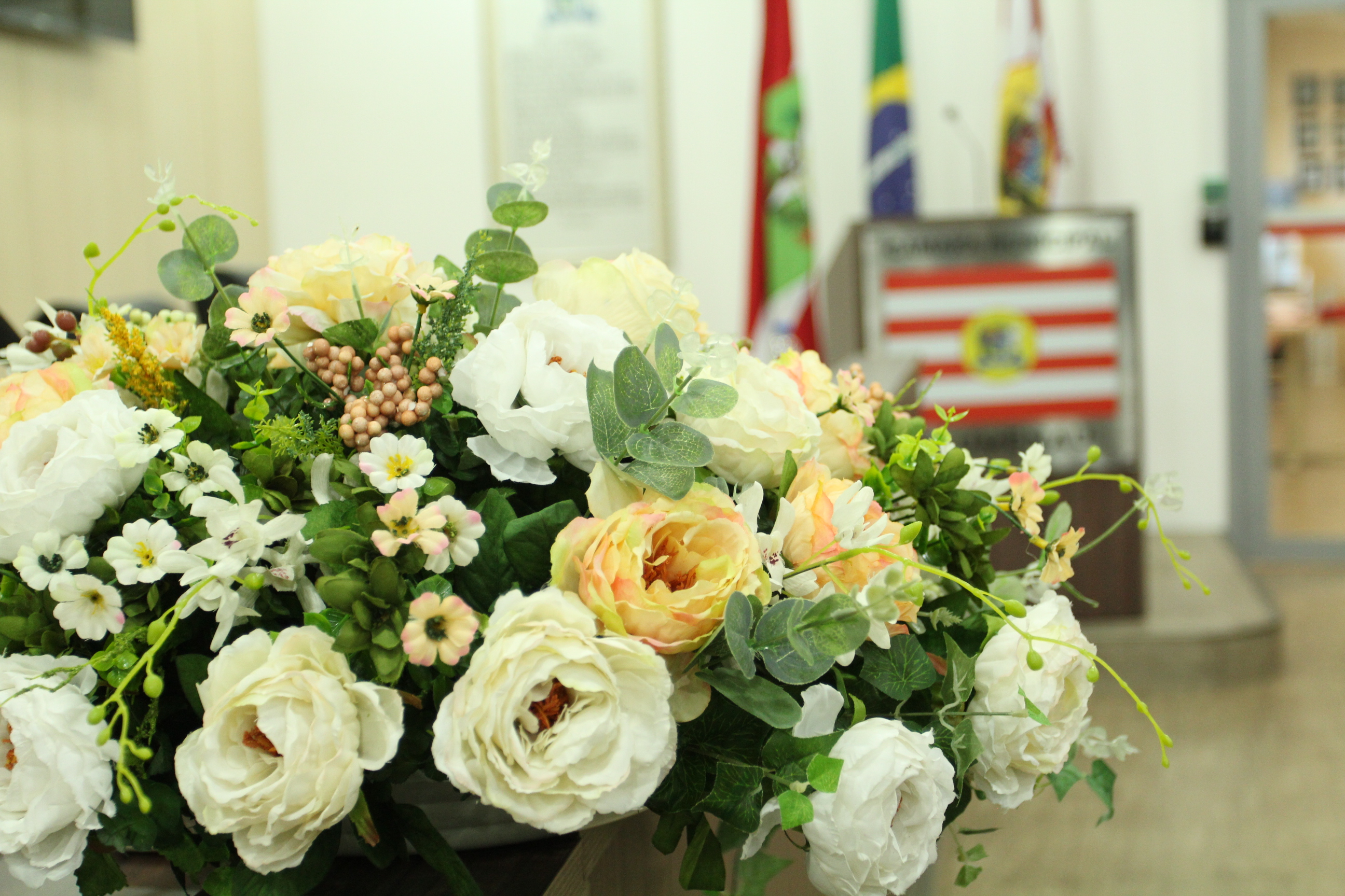 Câmara de Blumenau vai entregar moções de louvor e Comendas Municipais do Mérito em solenidade nesta terça-feira 