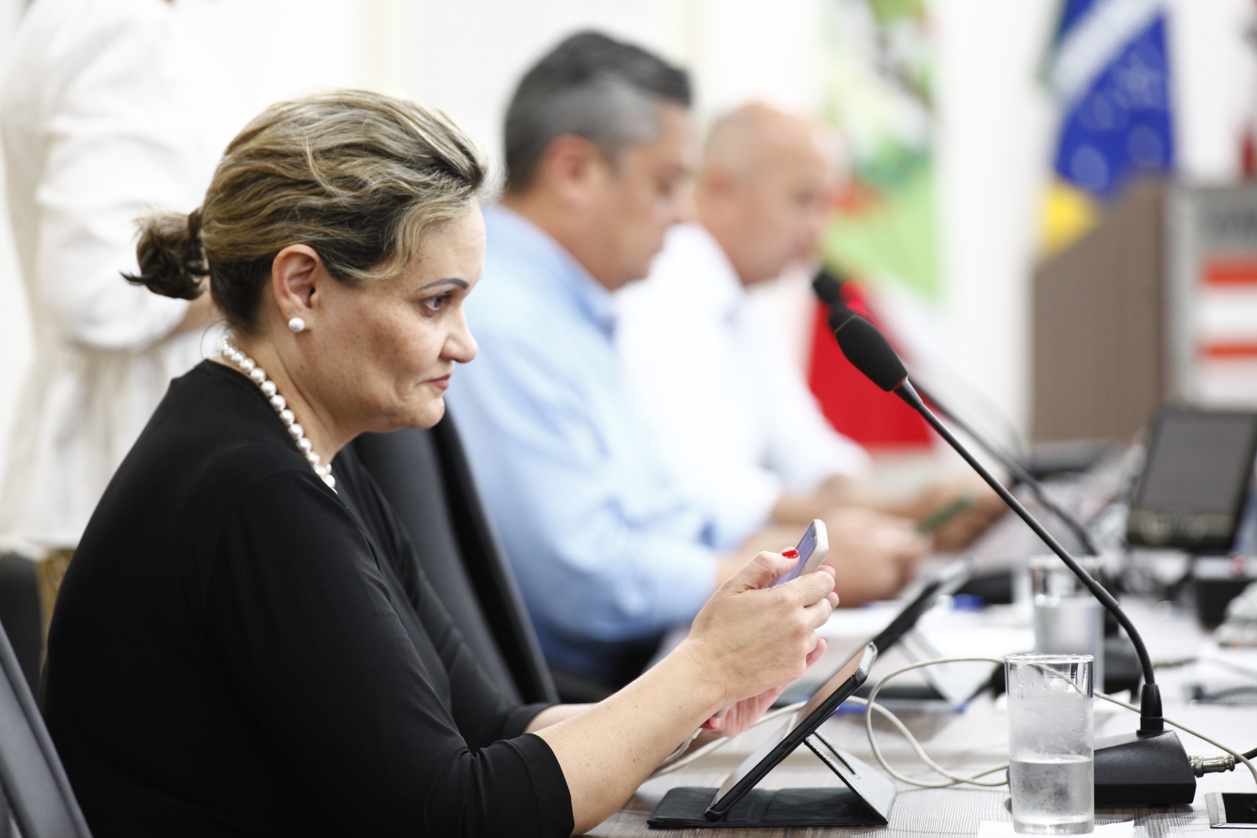 Resumo dos pronunciamentos dos vereadores 28/11