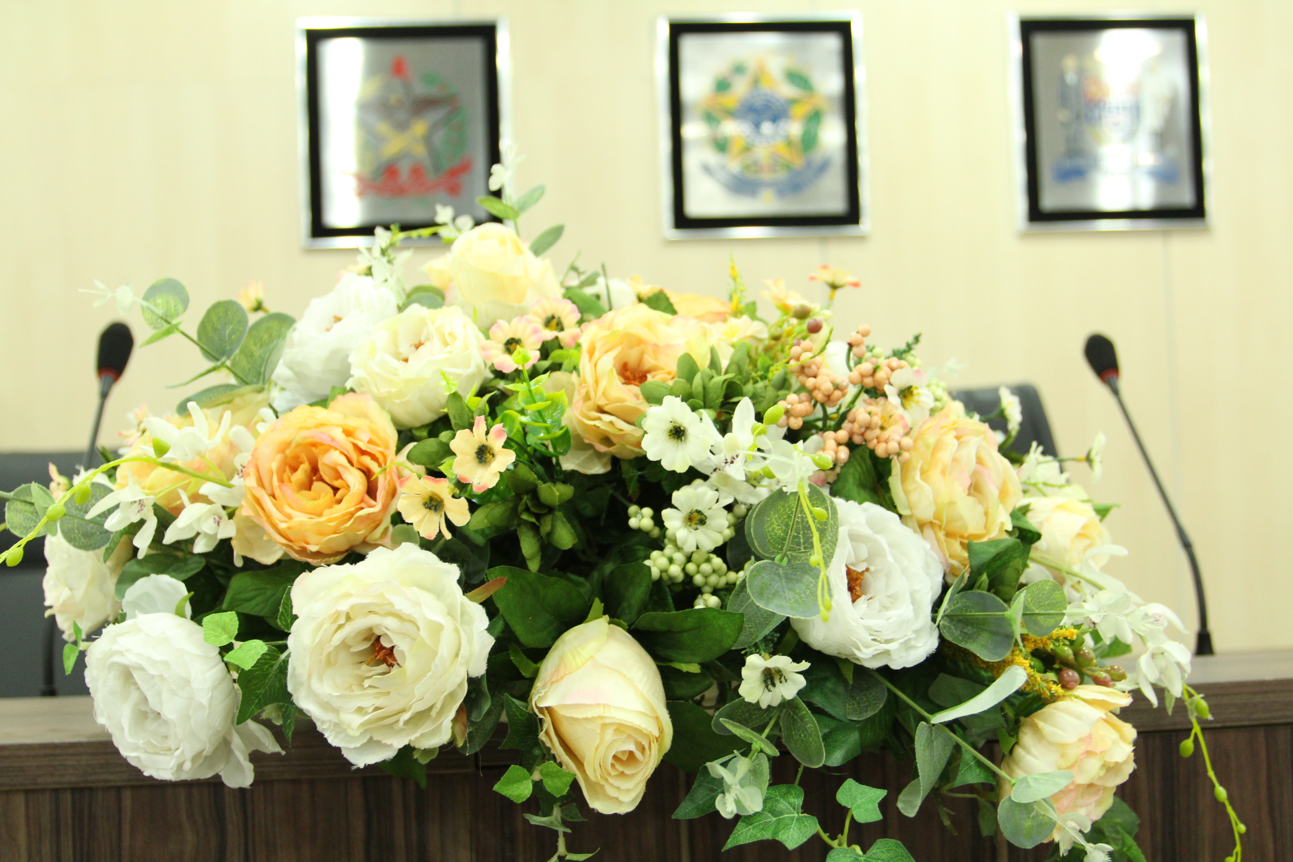 Sessão solene homenageia trajetórias de destaque em Blumenau nesta quinta-feira