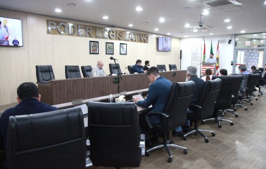 Câmara de Blumenau aprova projeto que cria cadastro municipal de condenados por violência contra a mulher e crimes sexuais contra crianças