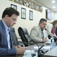 CCJ 19/07 