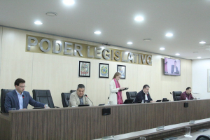 CCJ 19/07 