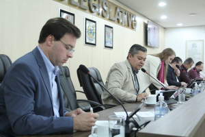 CCJ 19/07 