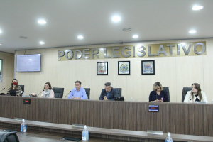 Audiência Pública de Prestação de Contas - Secretaria de Saúde - 21/07 