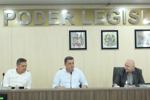 Sessão Ordinária 03/11 