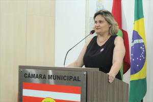 Sessão Ordinária 22/11 