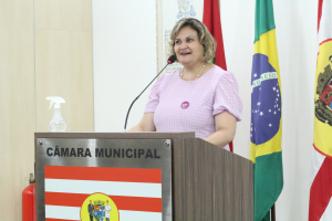 Sessão Ordinária 06/12 