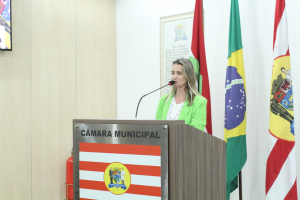 Sessão Ordinária 06/12 
