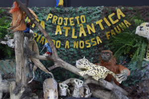 Exposição - Mata Atlântica - Recriando a Nossa Fauna - 10.10.2023 