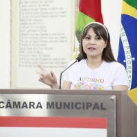 AUDIÊNCIA PÚBLICA - PCD 02.04.2024 - PARTE 2 