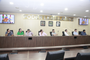 AUDIÊNCIA PÚBLICA Samae Blumenau 10.04.2024 