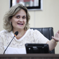 Audiência Pública - Comerciantes Rua XV de Novembro - 24.04.2024 