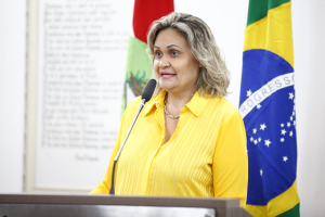 SESSÃO ORDINÁRIA 18.06.2024 PARTE 2 