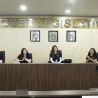 SESSÃO ORDINÁRIA MIRIM - 22.07.2024 
