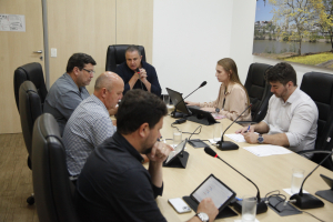 Comissão CCJ 05.11.2024 