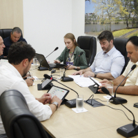 Comissão CCJ 12.11.2024 