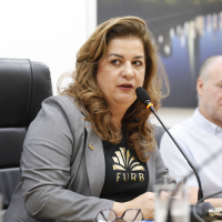 COMISSÃO EDUCAÇÃO Reunião Extraordinária FURB 26/11/2024 