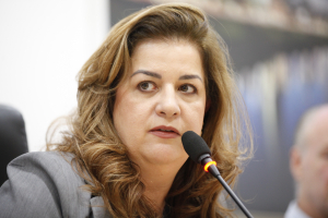 COMISSÃO EDUCAÇÃO Reunião Extraordinária FURB 26/11/2024 